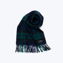 THE MUFFLER