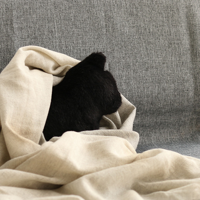 Fabrico　NEKO　おすわり