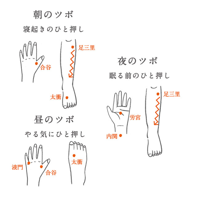 すりこぎ屋のツボ押し