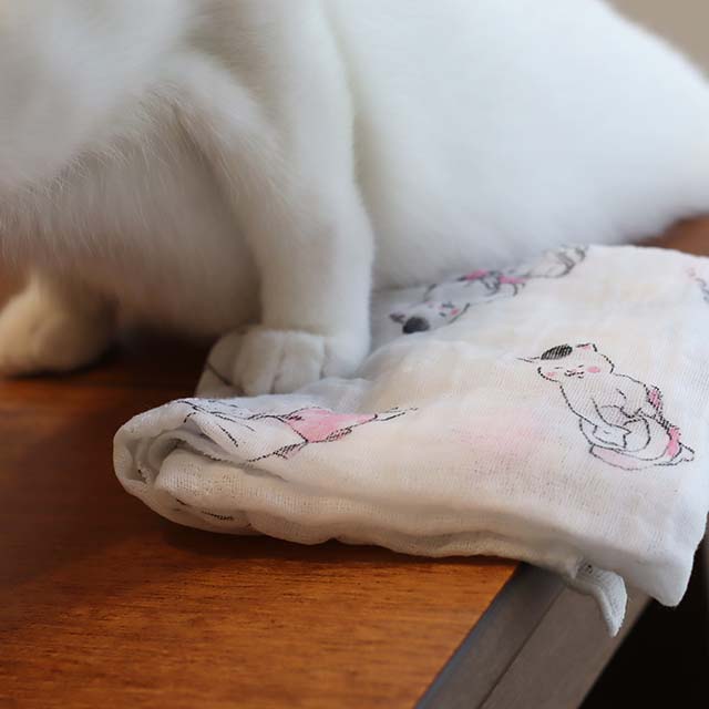 猫村さんのふきん